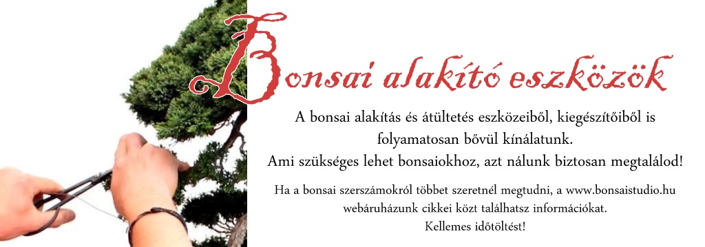 bonsai alakitas eszkozei es kiegeszitoinek vasarlasa budapest kozeleben